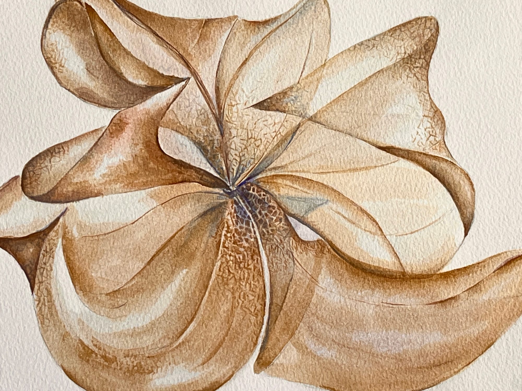 Ulla Corin Lindroth